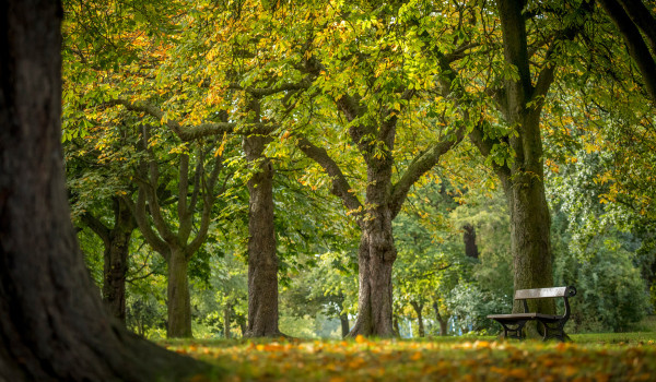 Green Spaces Green Spaces